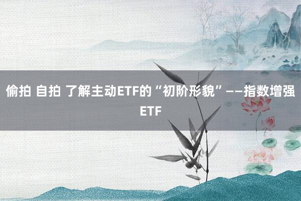 偷拍 自拍 了解主动ETF的“初阶形貌”——指数增强ETF