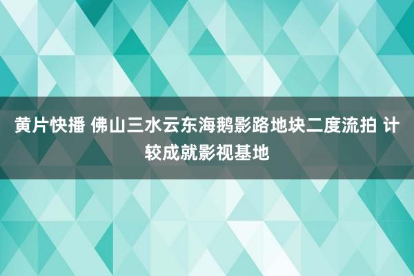 黄片快播 佛山三水云东海鹅影路地块二度流拍 计较成就影视基地